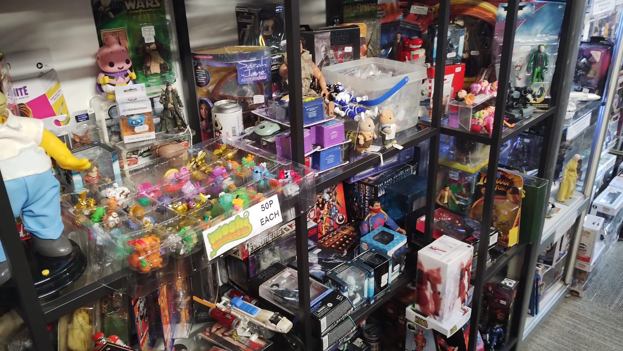 Focus Toys